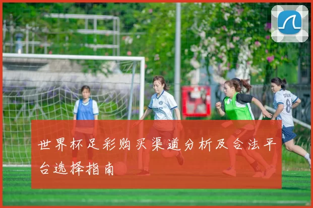 世界杯足彩购买渠道分析及合法平台选择指南