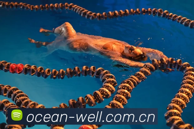 米兰·(milan)中国官方网站 - Milan Sport全站App 米兰·(milan)中国官方网站 - Milan Sport全站App